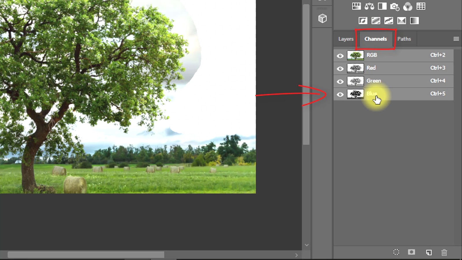 How to cut out tree in Tutorials (Quick Techniques)