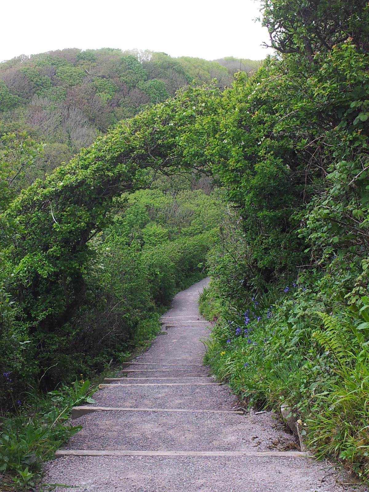 Around the Edge of Wales Around the Edge of Wales (10)...Llantwit