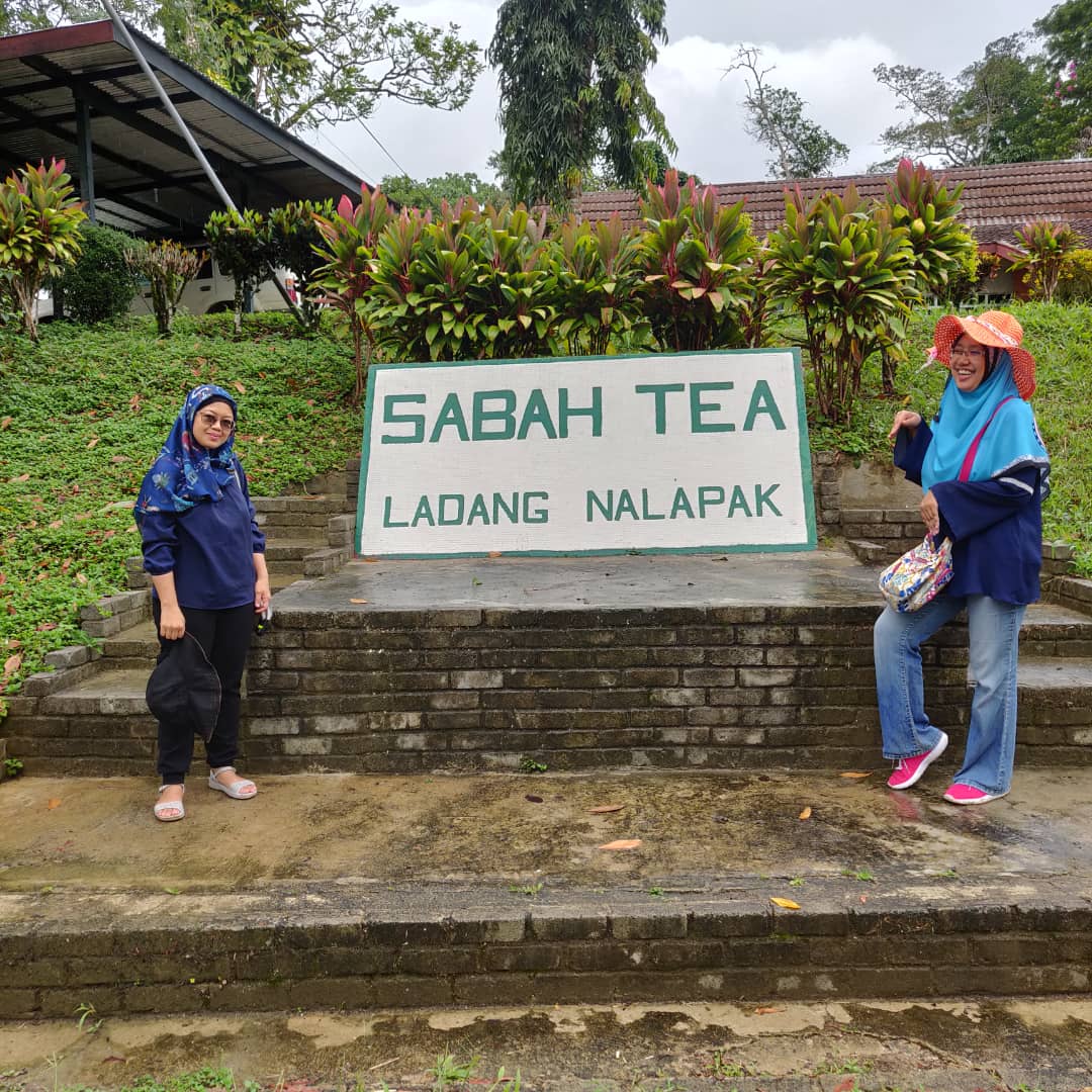 Jalan Jalan Minum Teh di Sabah Tea Garden Ranau Sabah 2020