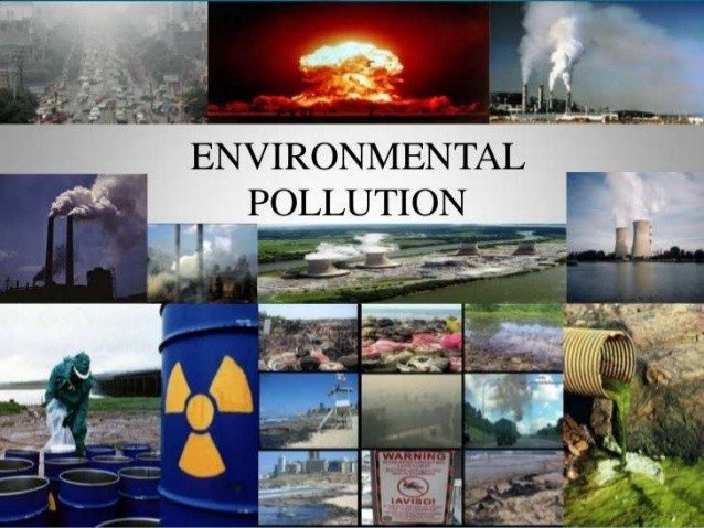 environmental pollution essay in bengali