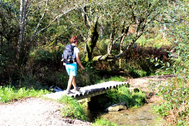 foto del camino de santiago en negreira