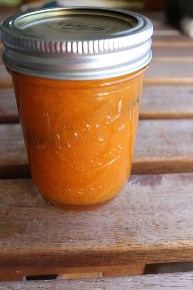 Ladyface Blog Apricot Preserves