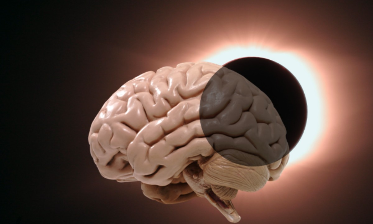 Нейродегенеративные заболевания головного мозга. Нейродегенеративные процессы. Нейродегенеративные металлов в мозгу.