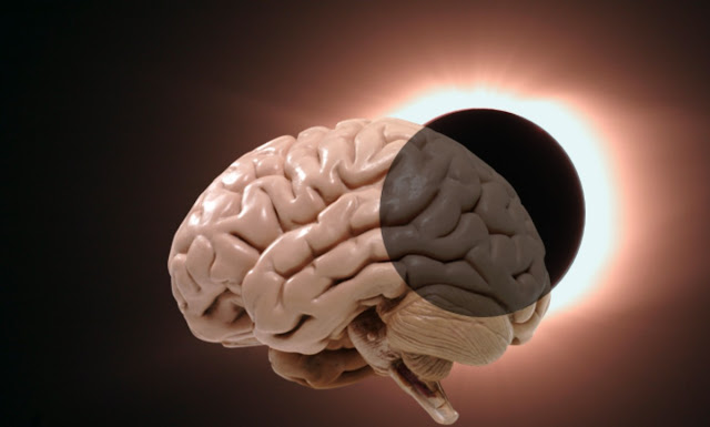 Нейродегенеративные заболевания - как процесс захватывает мозг
