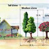 Selection, Planting and Care of Your Trees
