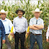 Consolidar el Programa de Agricultura Sustentable, meta 2021 en Michoacán