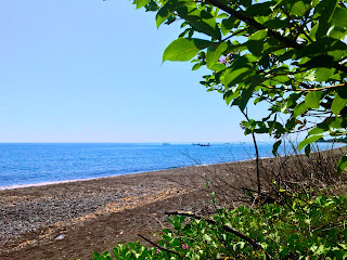 Umeanyar Beach Scenery From The Wild Leaves