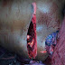 For Seeking For Divorce, Man Butcher Wife And Mother-In-Law - Very Graphic Photos