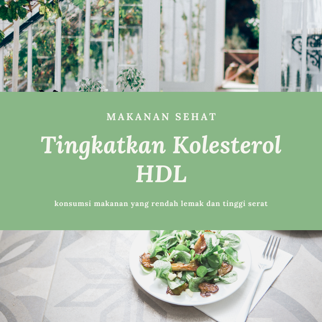 Perbedaan Kolesterol Jahat Dan Kolesterol Baik Pada Tubuh