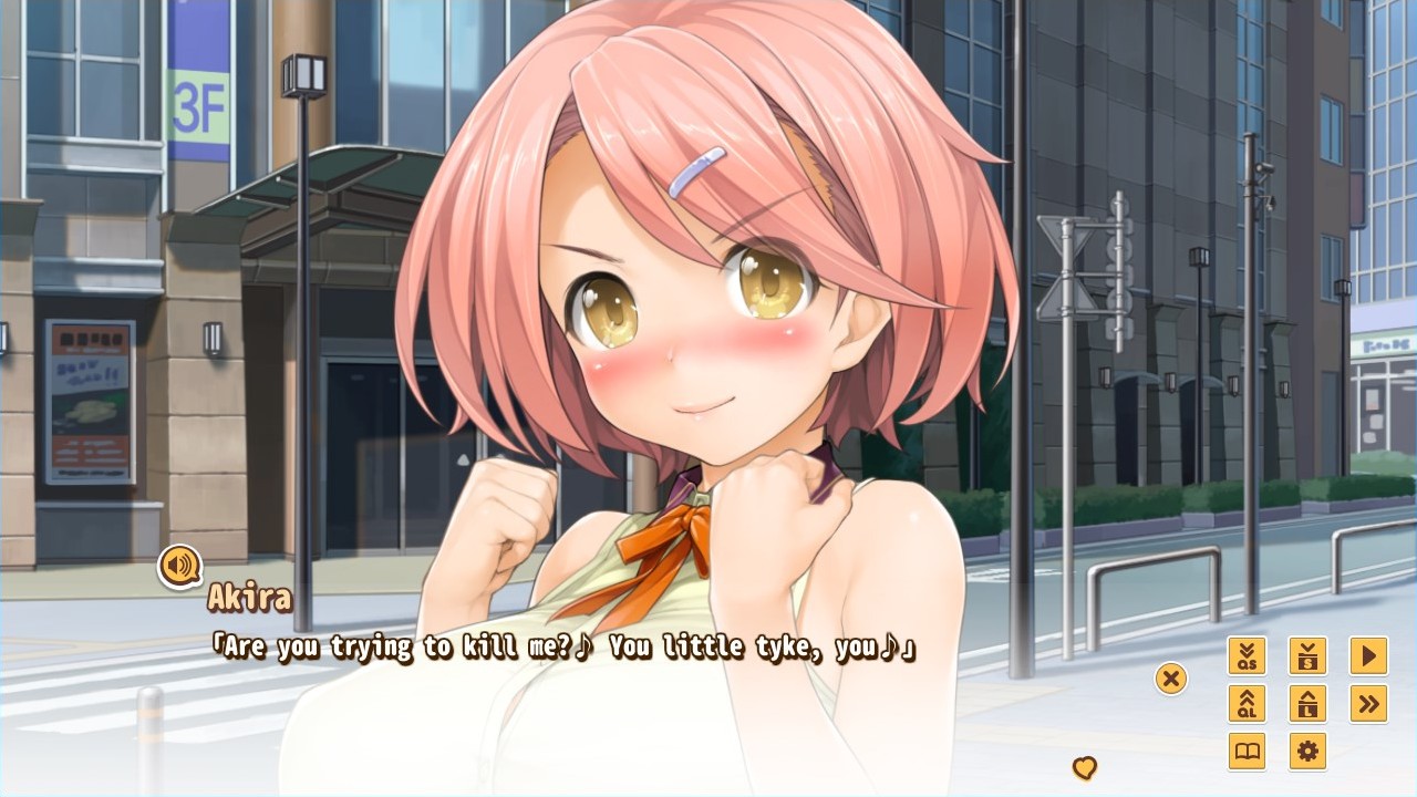 visual novel reader tutorial not working visual novel reader tutorial not working