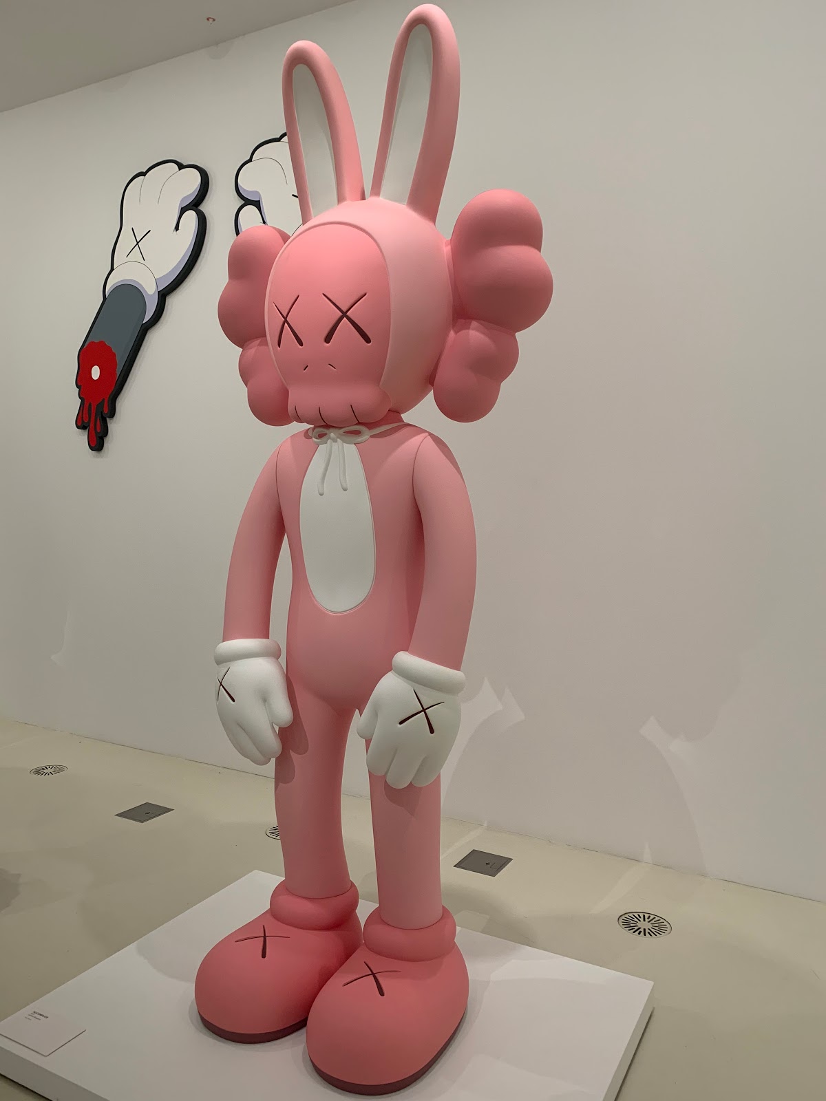 Aerohaveno Review KAWS, Melbourne, Australia
