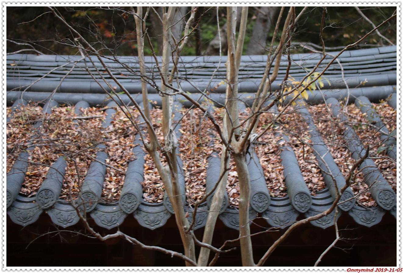 순천 조계산 송광사 순천 조계산 송광사