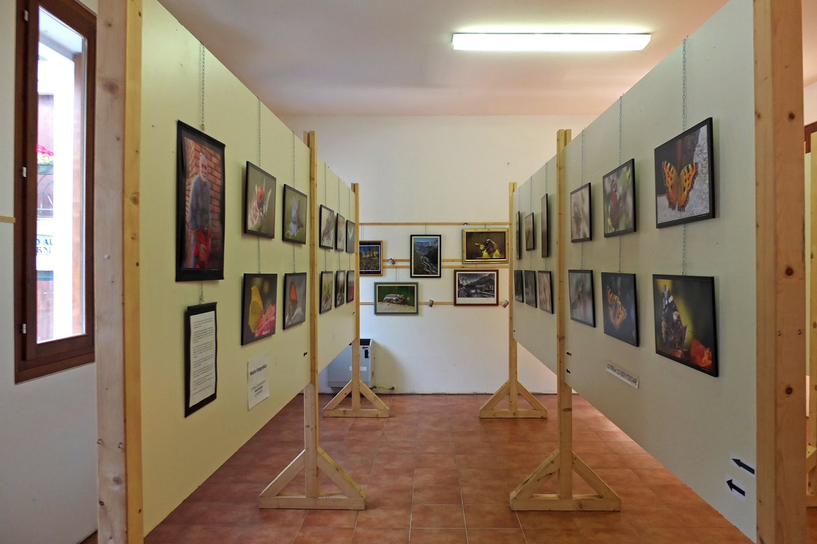 Gino Sartori giugno 2013