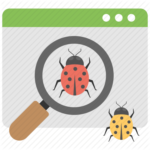 Bugs Detection