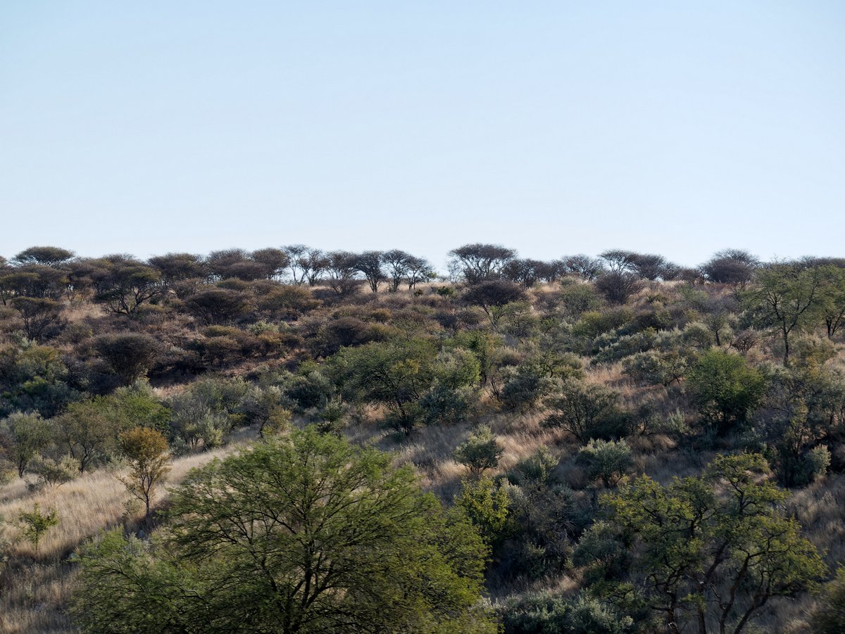 Вшестером по Намибии на джипах в пандемию Вшестером по Намибии на джипах в пандемию