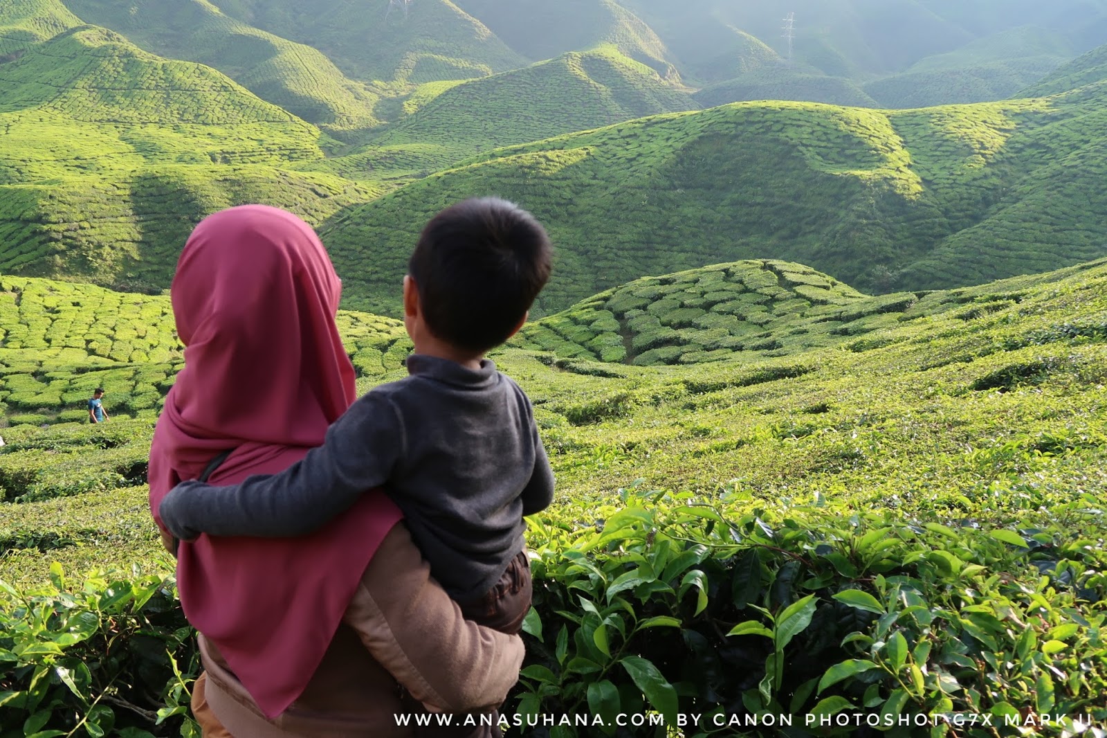 10 Tempat Menarik di Cameron Highlands Wajib Singgah 10 Tempat Menarik di Cameron Highlands Wajib Singgah