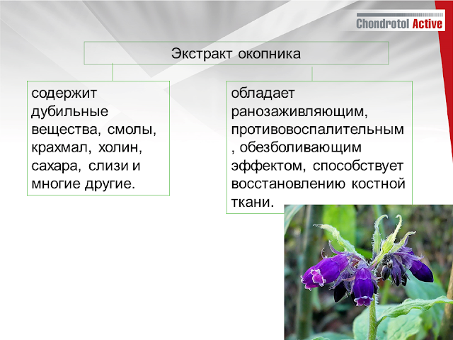 купить артлайф Артлайф Беларусь в Гомеле, Минске, Бресте, Могилеве, Витебске, Гродно