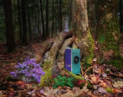 The Fairy Door by Sara Harley