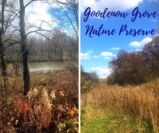 Charmed by a Diversity of Habitats at Goodenow Grove Nature Preserve in Beecher, Illinois