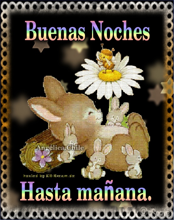 Sueños de Amor Y Magia: Buenas noches, dulces sueños.