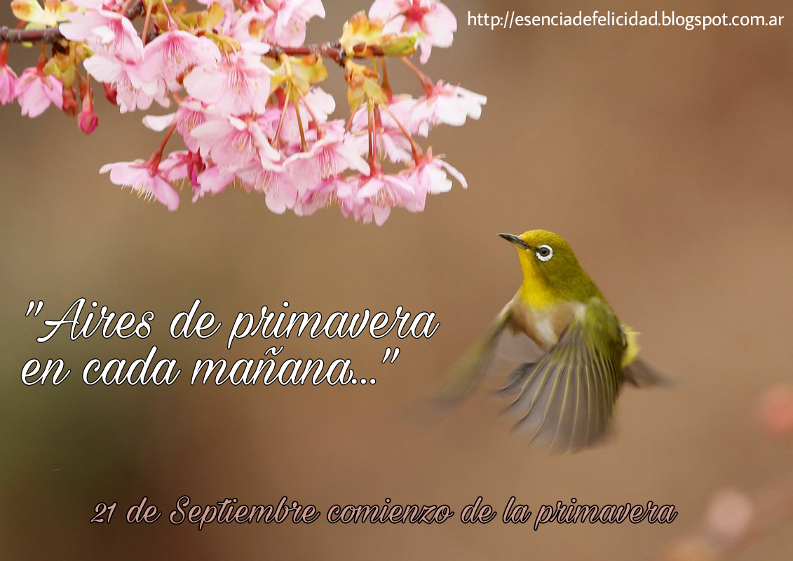 RECETAS PARA LA FELICIDAD ¡¡¡Buenos días PRIMAVERA!!! RECETAS PARA LA FELICIDAD ¡¡¡Buenos días PRIMAVERA!!!