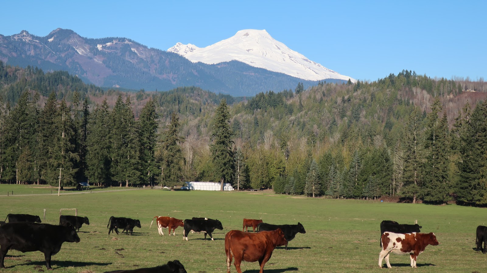 Reading the Washington Landscape Scenic South Skagit Highway