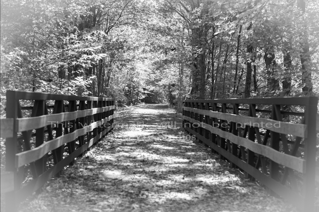 Farmington Trail _7744 Photo Print