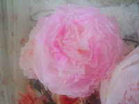 Rose anglaise