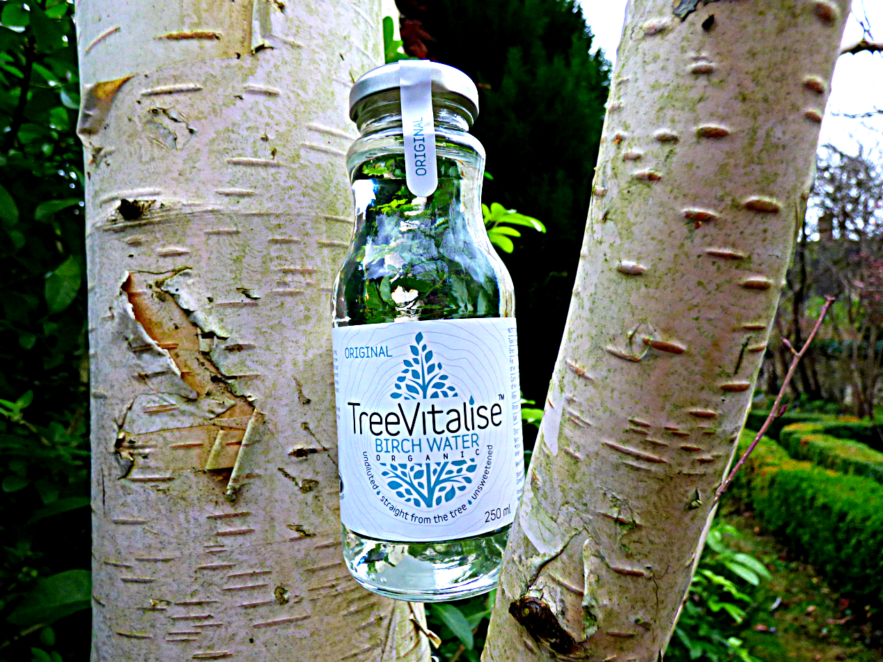 Chez Maximka TreeVitalise Birch Water
