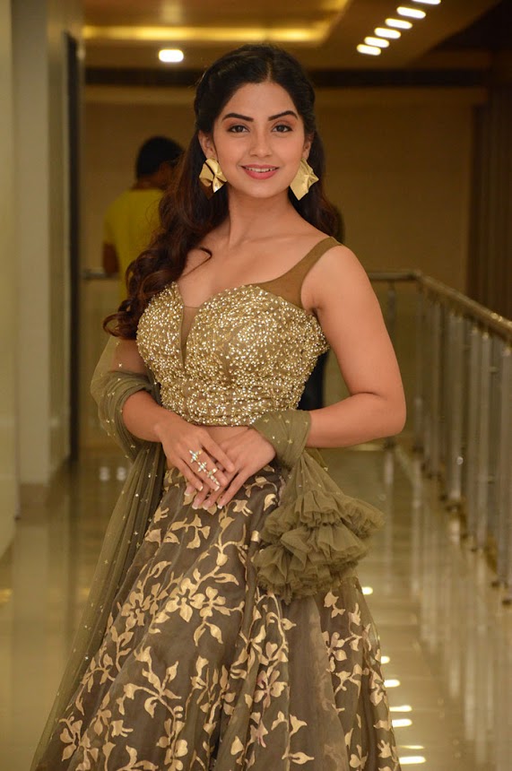 Kashmira Pardeshi at Narthanasala Pre-Release