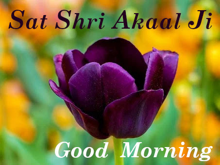 Top 10 Sat Shri Akaal Ji Good Morning images Photos , greetings, pictures  for Whatsapp - Good Morning