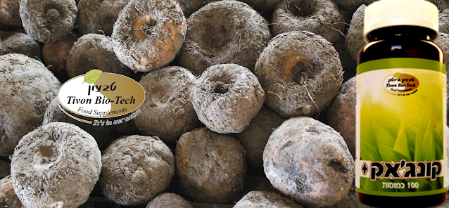 טבעון ביוטק אתר ויטמין דיאטה ותזונה בריאה