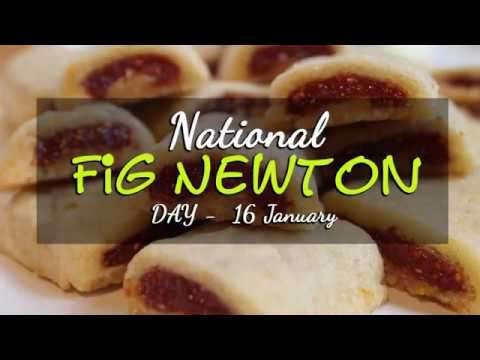 national fig newton day images national fig newton day images