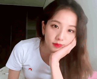 신년맞이 블랙핑크 지수 레전드 움짤 모음(※데이터조심)