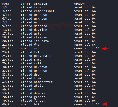 Nmap Output Formats