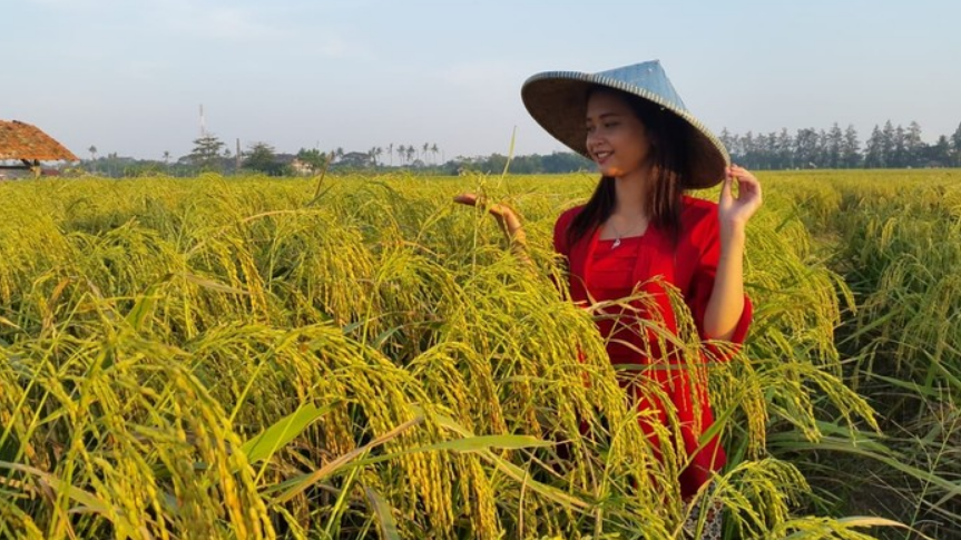 Peluang Usaha Di Bidang Agraris Yang Menguntungkan Aldanpost Com