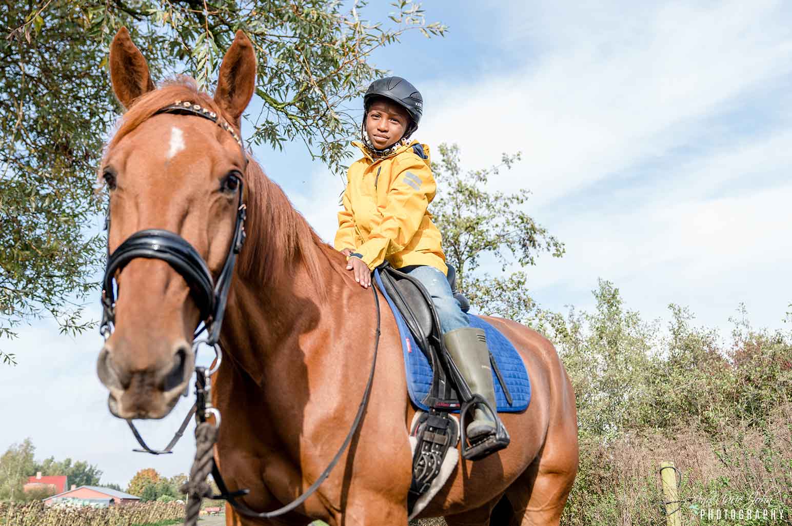 Tips That Will Keep Your Pet Horse Strong and Healthy