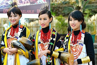 Hornbill Festival 2013 (photo - Hali Welly)