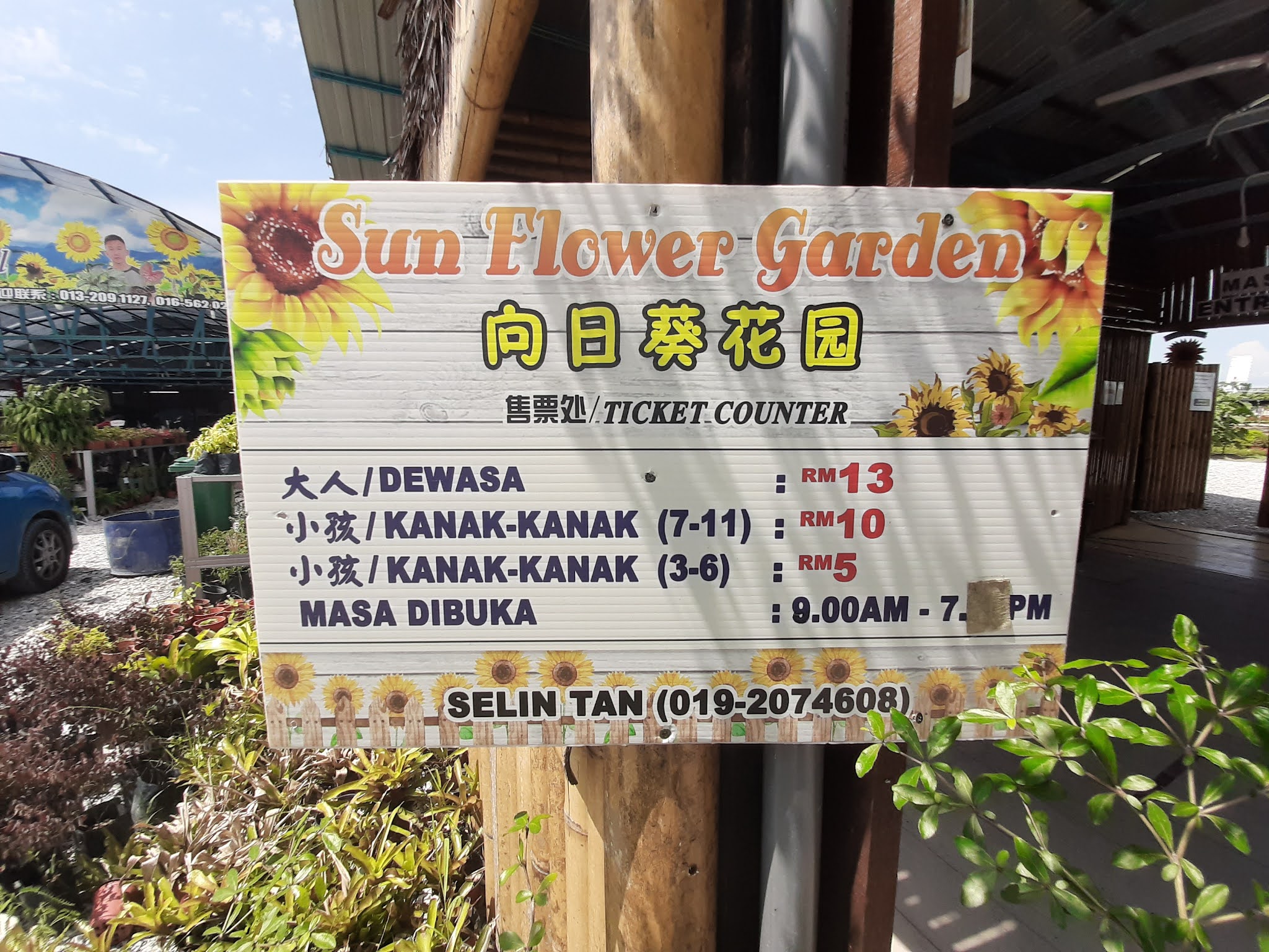 wife to jalan rebung Jalanjalan Bagan Datuk, Perak Sunflower Garden
