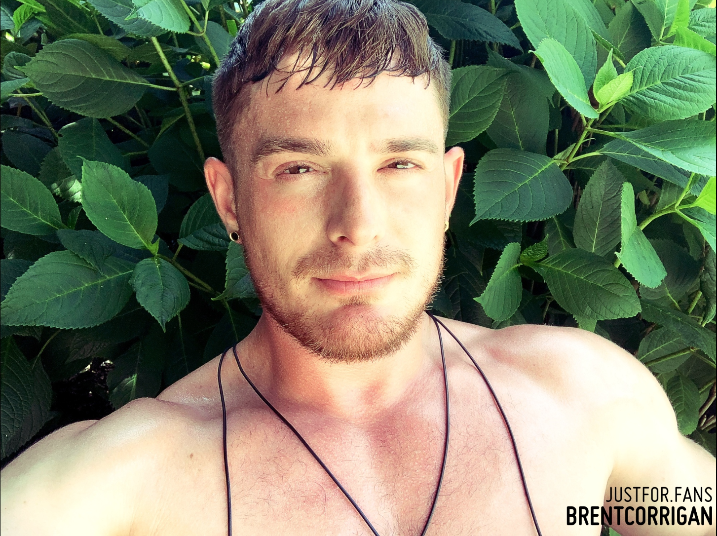 Brent Corrigan Museum