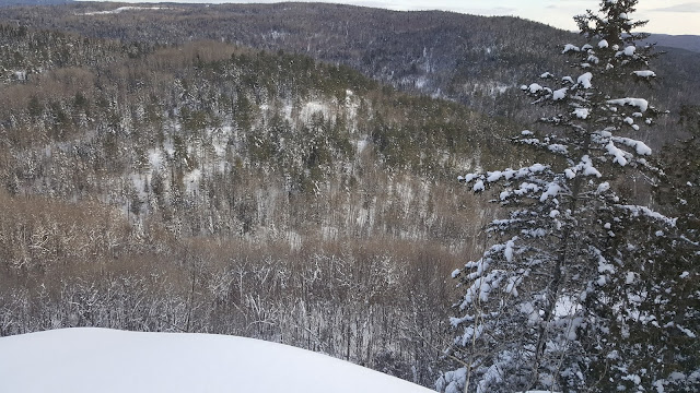 Point de vue sur le sentier de la Matawinie