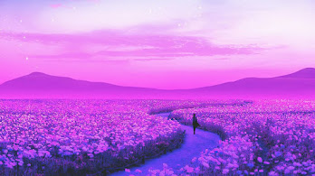 Lavender Wallpapers 4K HD