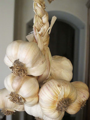 homegrown garlic braid