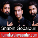 https://humaliwalaazadar.blogspot.com/2019/08/shabih-gopalpuri-nohay-2020.html