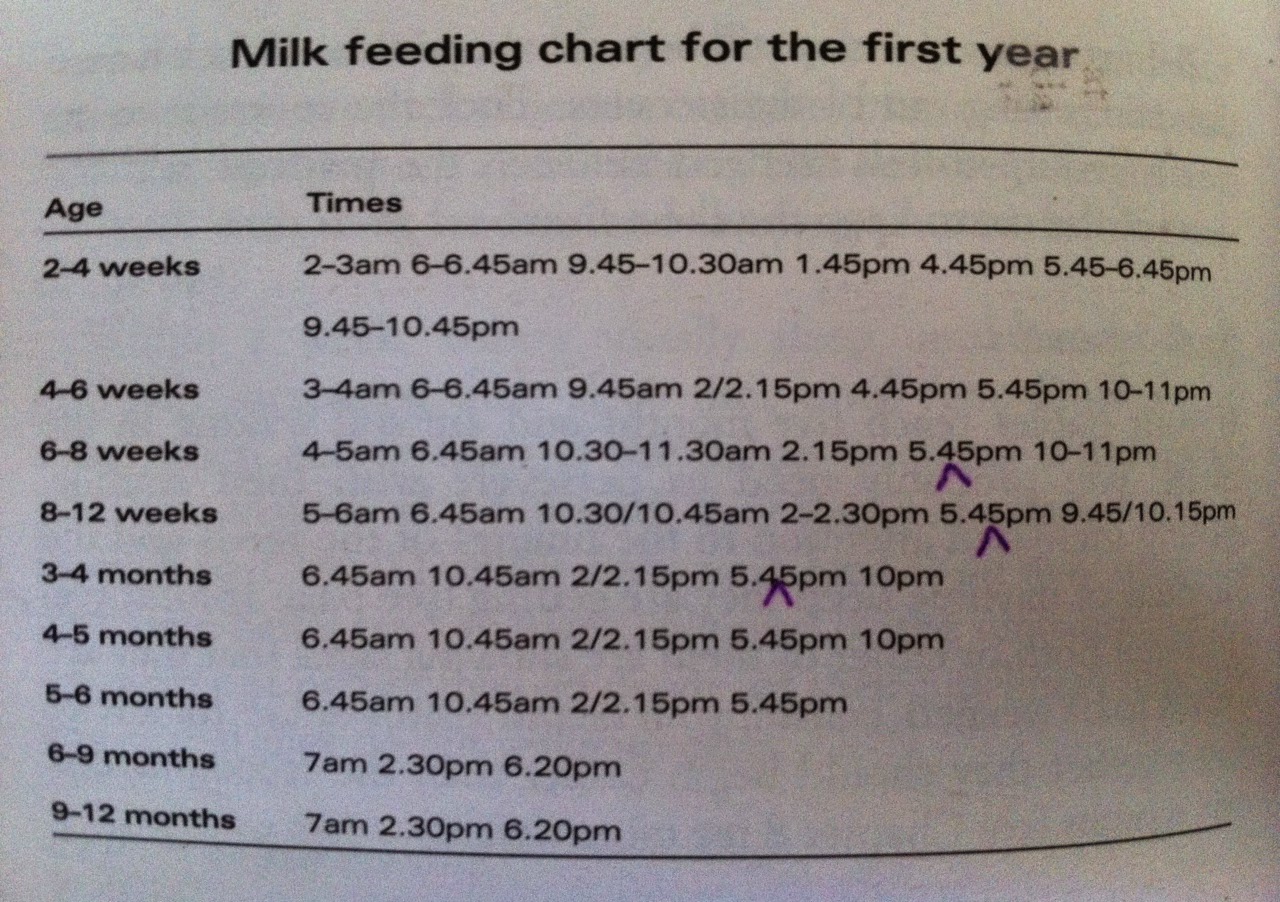 Styleista Baby Infant Schedules feeding and napping routines for