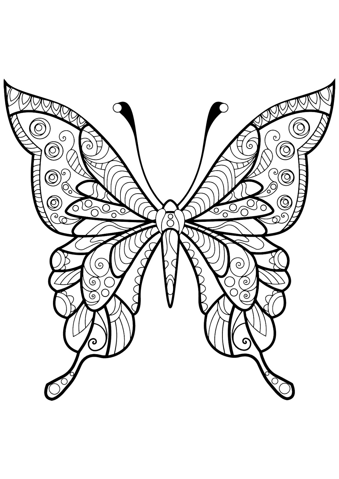 Tranh tô màu con bướm cách điệu bằng đường nét