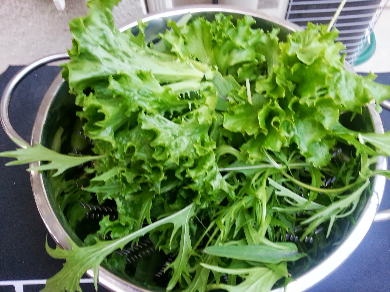 My Tower Garden Journal Harvesting lettuce from the Tower Garden