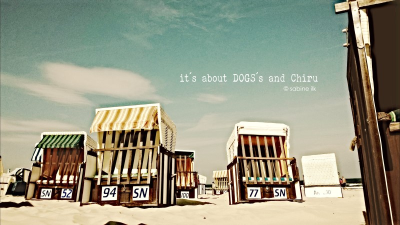 Unser Urlaub Auf Der Schonen Insel Usedom Zuckersusse Apfel Kreativer Familienblog Und Reiseblog