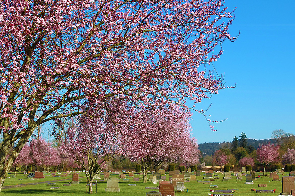 Photographing Oregon Lebanon