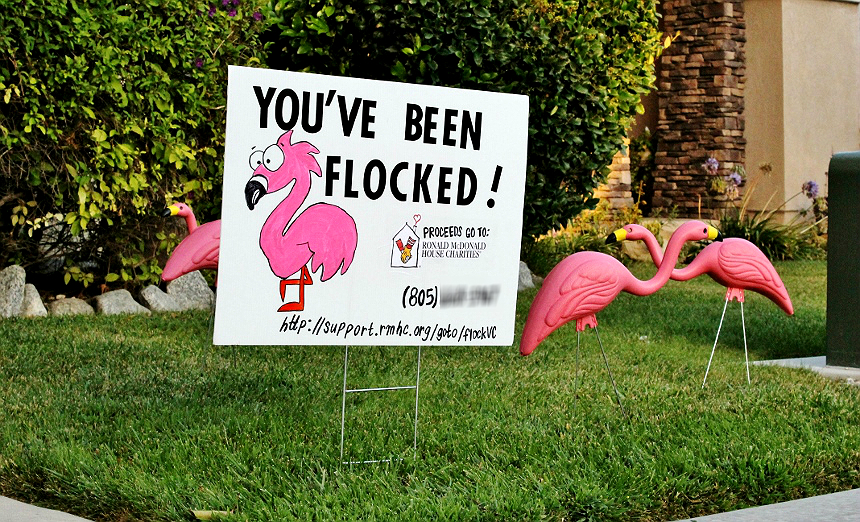 #RaiseLove and have fun with a unique 'You've Been Flocked' fundraiser in your community! #Sponsored